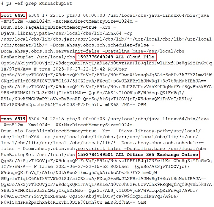 Monitor Run on Server Backup Java Process in Linux