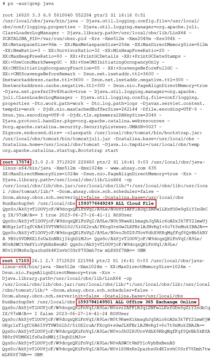Monitor Run on Server Backup Java Process in Linux