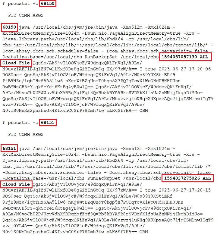 Monitor Run on Server Backup Java Process in FreeBSD