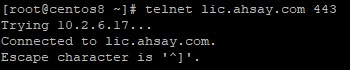 Ahsay License Server