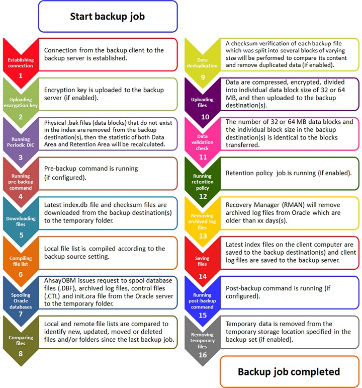 Database Backup Process