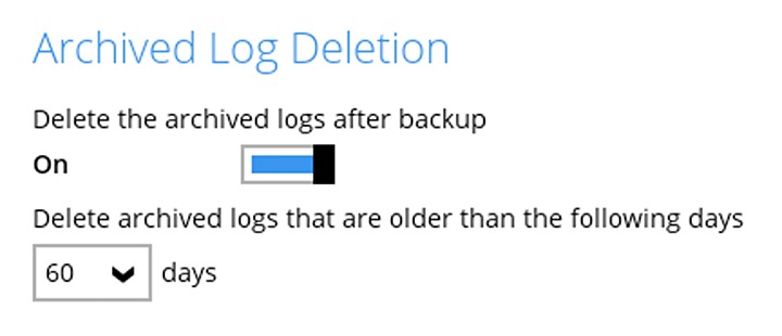 Archived Log Deletion