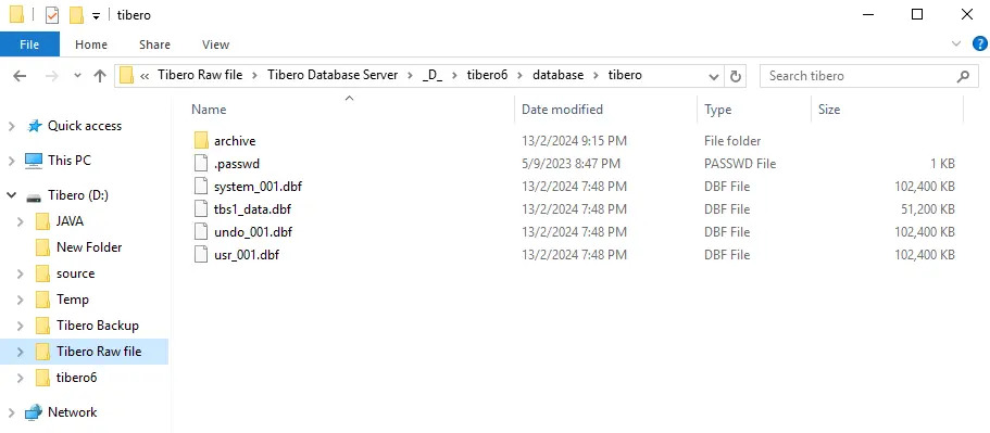 Windows File Explorer