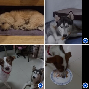 Restore File Explorer