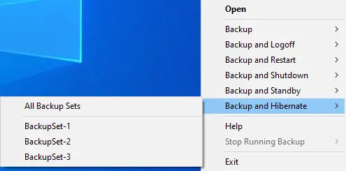 Backup and Hibernate