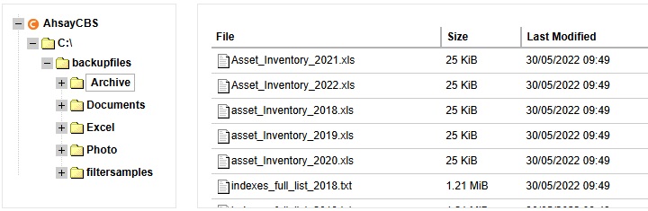 List of Backed up files