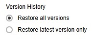 Version History